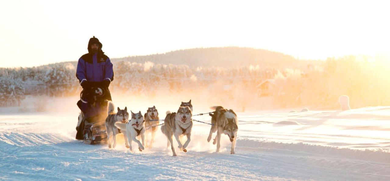 Northern Lights Village Levi Luaran gambar